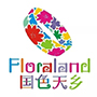 国色天乡